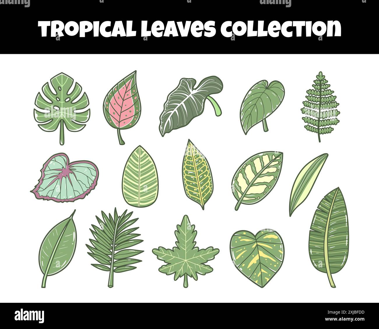 Illustration vectorielle de jeu de feuilles tropicales Illustration de Vecteur