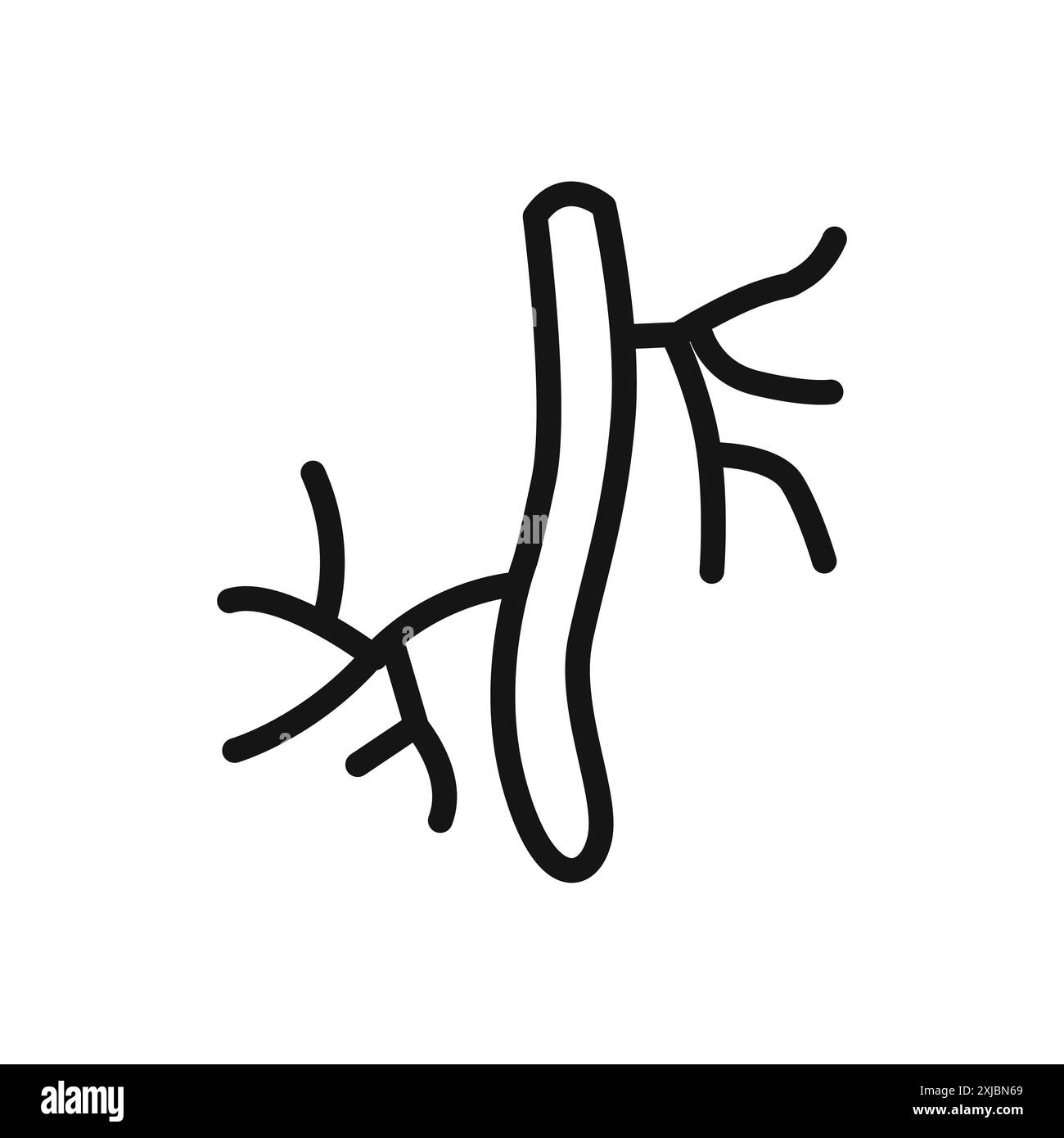 Icône d'artère humaine signe graphique vectoriel linéaire ou symbole défini pour l'interface utilisateur de l'application Web Illustration de Vecteur