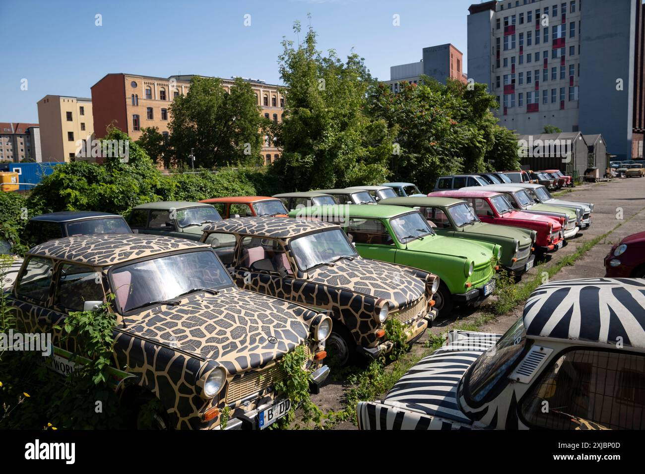 Voitures Trabant produites de 1957 à 1991 par l'ancien constructeur automobile est-allemand VEB Sachsenring Automobilwerke Zwickau utilisées pour des voyages touristiques à Berlin. Banque D'Images