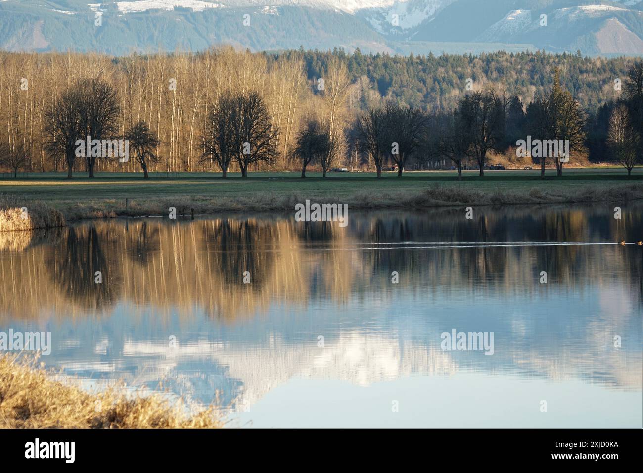 La réflexion de montagne Banque D'Images