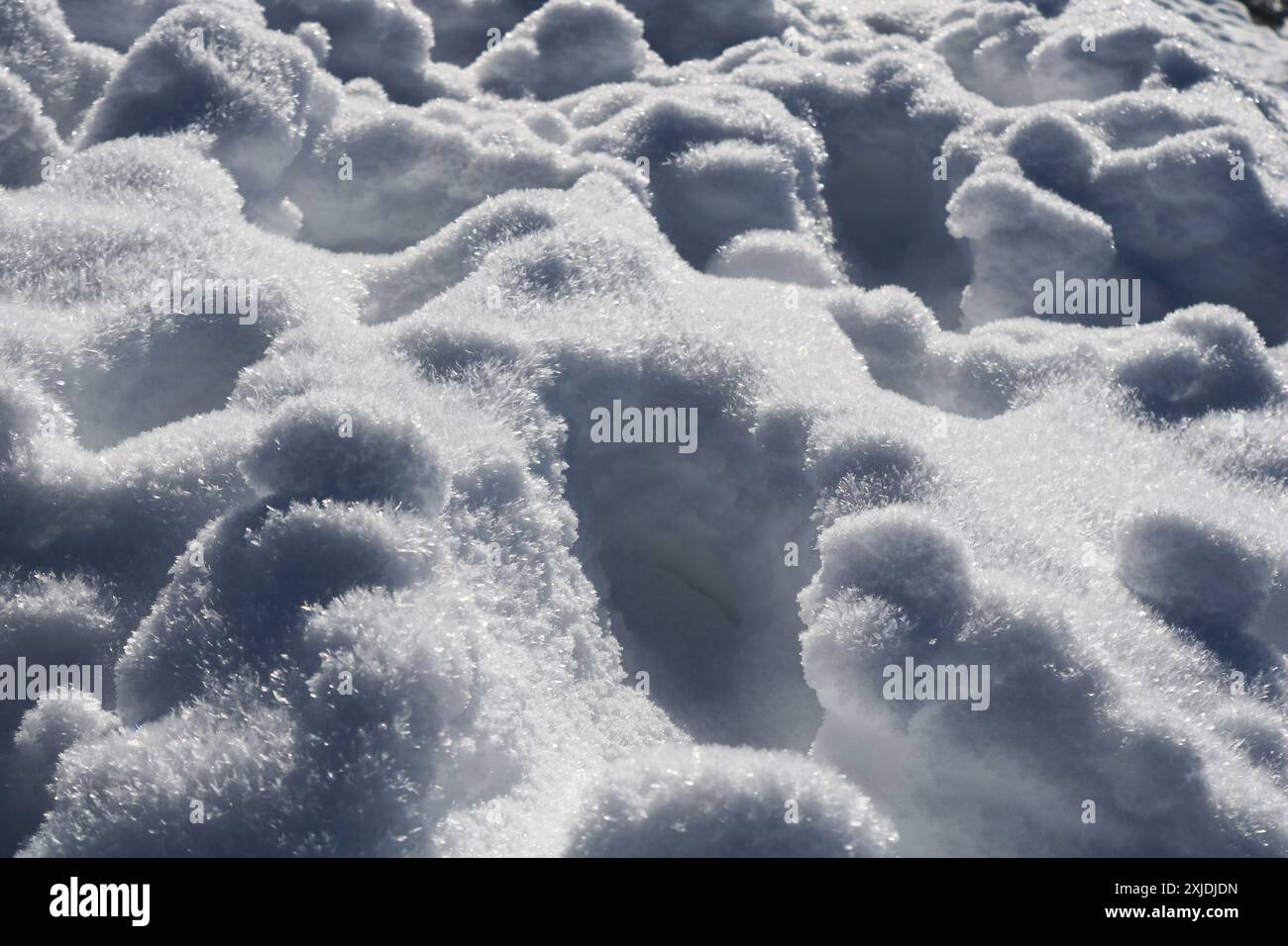 De gros cristaux de neige brillent dans la lumière du soleil. Banque D'Images