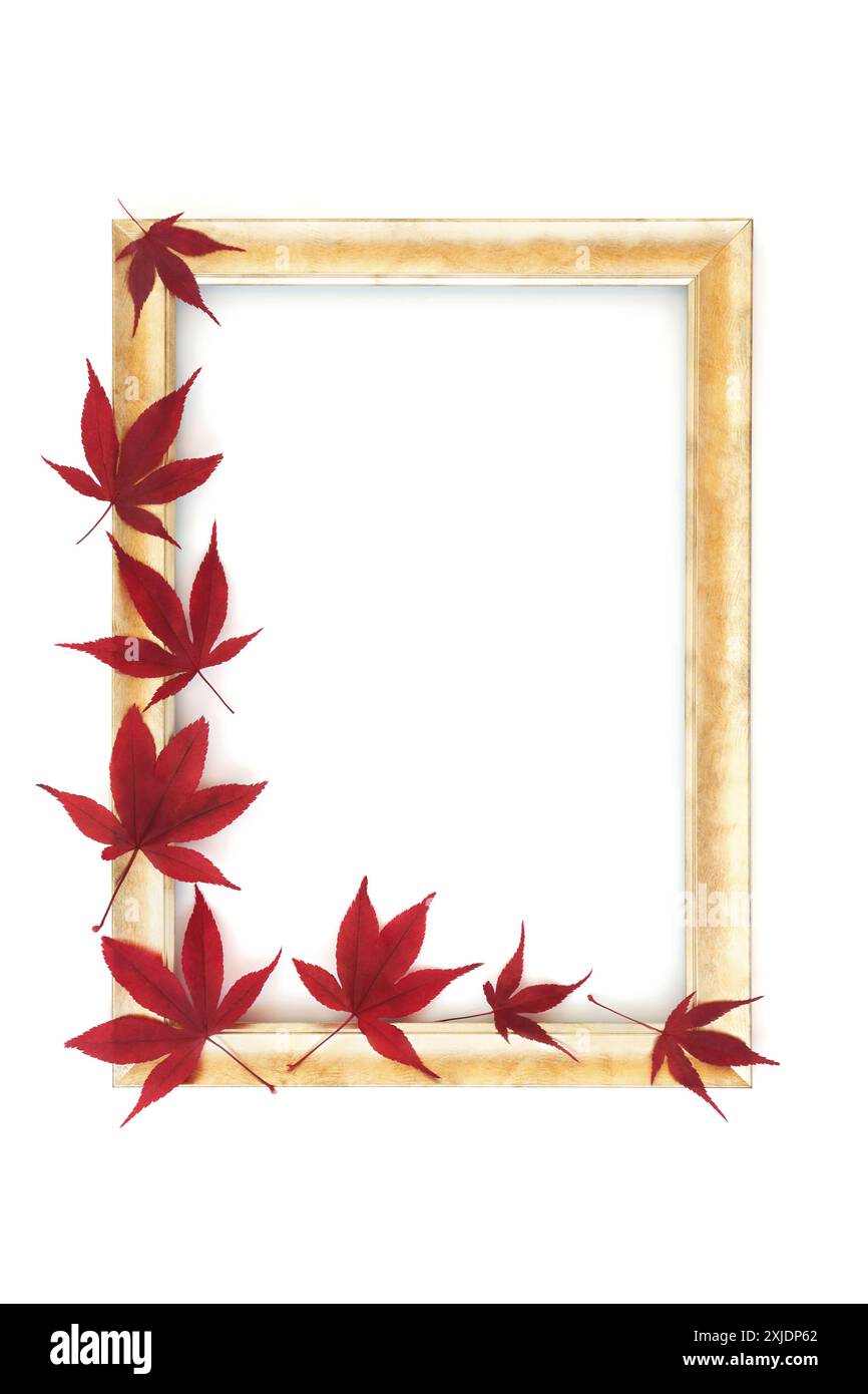 Automne automne automne feuille d'érable nature bordure de fond. Rouge vif design minimal coloré sur blanc avec cadre en or rustique. Banque D'Images