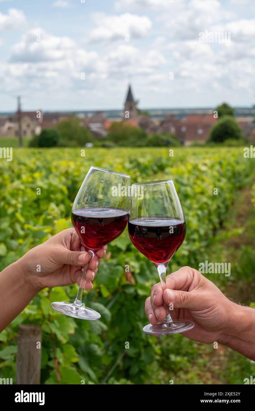 Boire du vin rouge pinot noir sur les vignobles grand cru avec croix et murs de pierre en Côte de nuits, faire du célèbre vin rouge et blanc de Bourgogne en Bu Banque D'Images