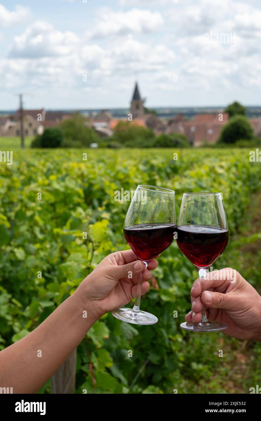 Boire du vin rouge pinot noir sur les vignobles grand cru avec croix et murs de pierre en Côte de nuits, faire du célèbre vin rouge et blanc de Bourgogne en Bu Banque D'Images