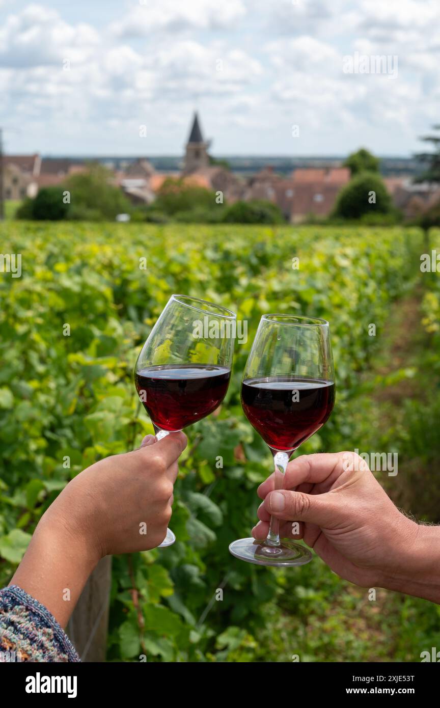 Boire du vin rouge pinot noir sur les vignobles grand cru avec croix et murs de pierre en Côte de nuits, faire du célèbre vin rouge et blanc de Bourgogne en Bu Banque D'Images