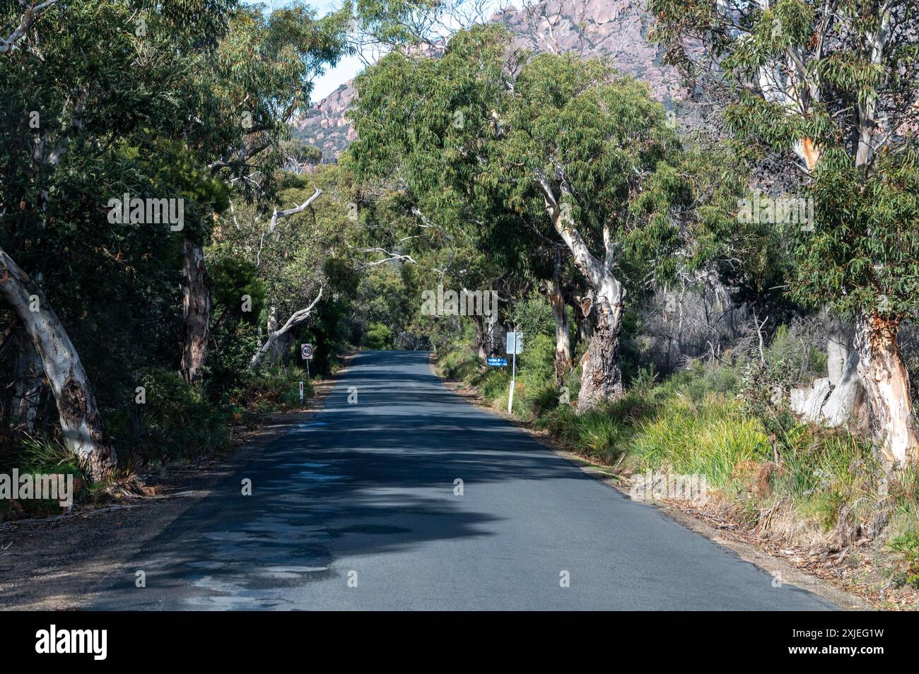 Freycinet Drive, Coles Bay Coastal Road, Coles Bay, Freycinet, parc national de Cole Bay, côte est de la Tasmanie, Australie, Tasmanian Road, Tasmanian Mo Banque D'Images