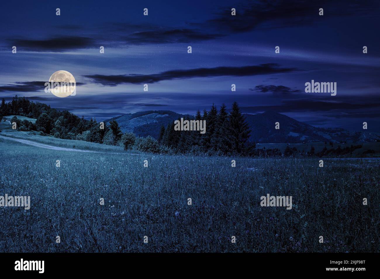 chaîne de montagnes avec forêt de conifères la nuit. beau paysage de campagne dans la lumière de pleine lune Banque D'Images
