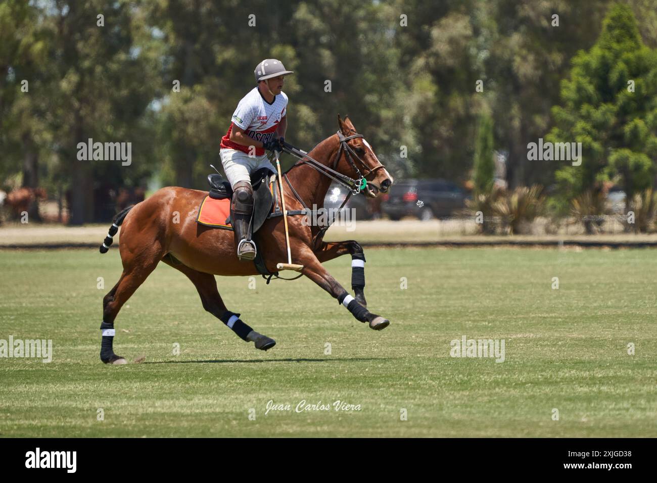 Championnat de polo sport Banque D'Images