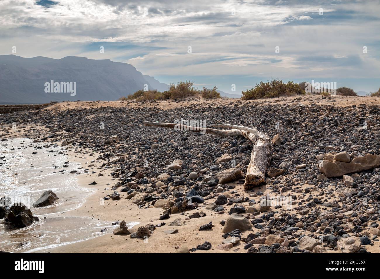 Falaises au nord de Lanzarote. Plage avec des galets et une ancienne branche. Ciel bleu avec des nuages blancs. Caleta del Sebo, la Graciosa, Îles Canaries, Spa Banque D'Images