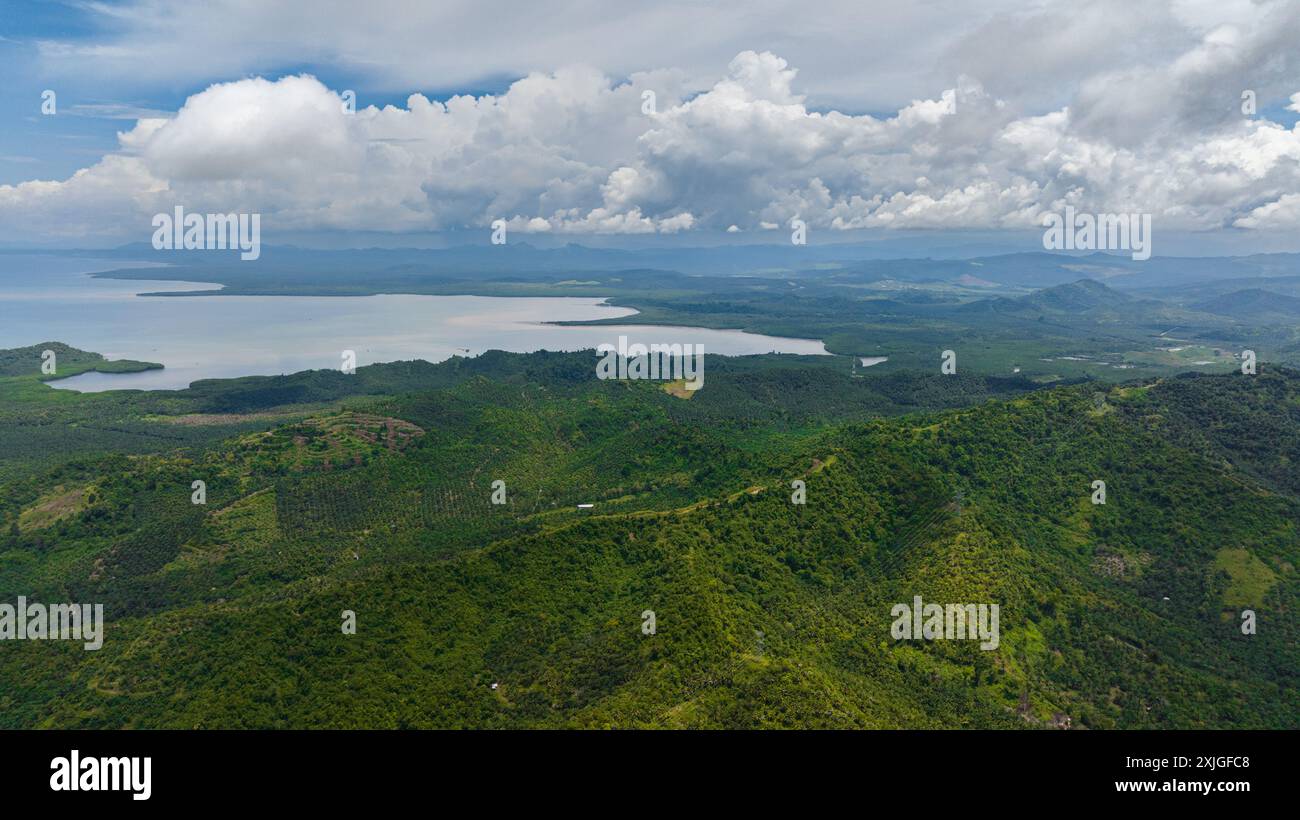 Vue aérienne de la côte de l'île de Bornéo avec plantations de palmiers à huile et jungle. Malaisie. Banque D'Images