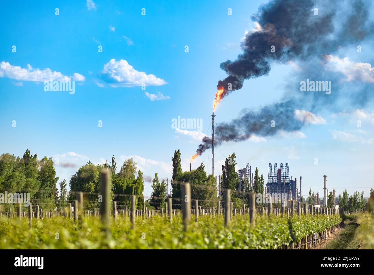 Un vignoble de Mendoza, en Argentine, menacé par la pollution d’une usine de combustibles fossiles. Banque D'Images