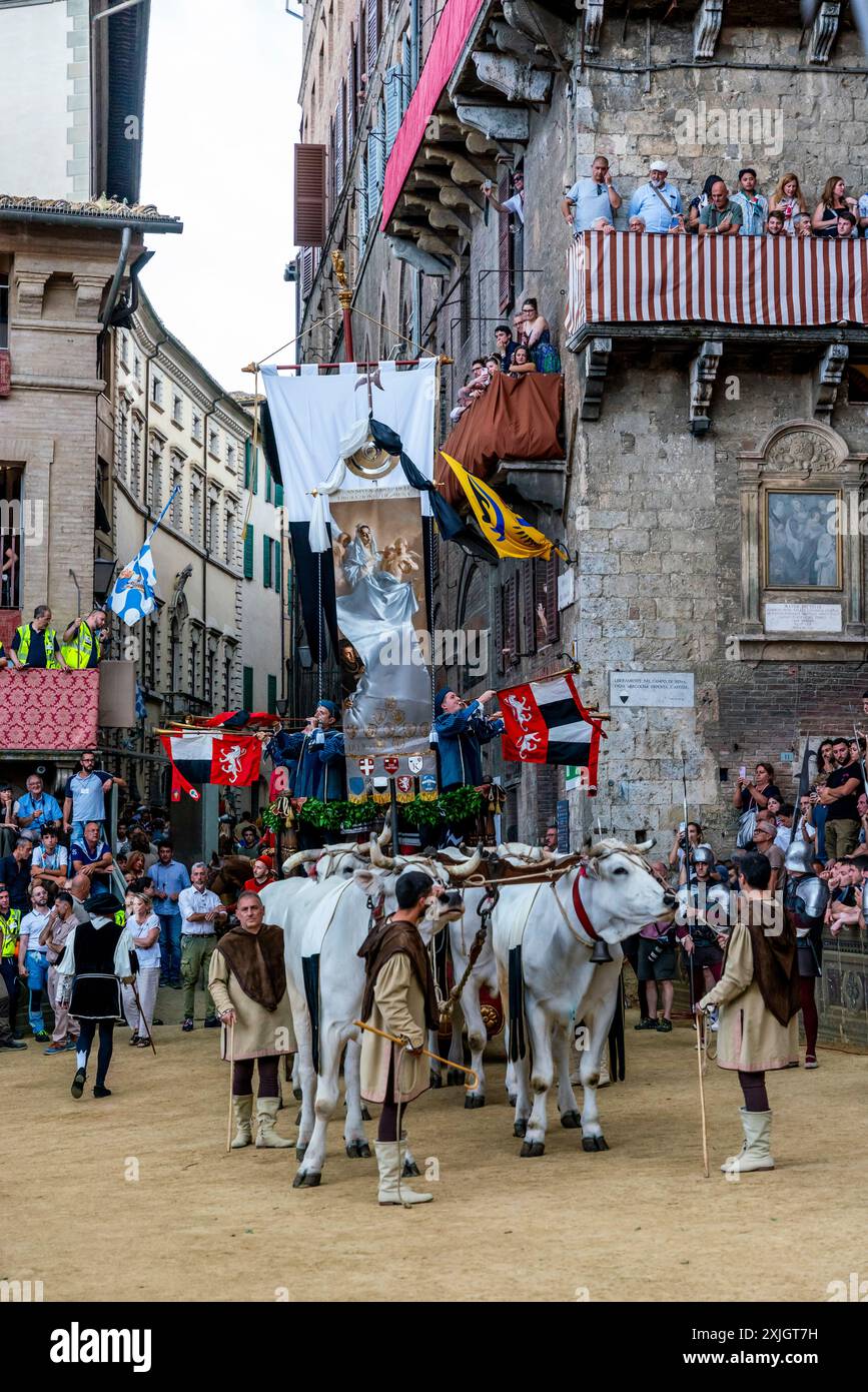 Les bœufs blancs et la bannière de soie du Palio (le Carroccio) arrivent sur la Piazza Del Campo dans le cadre de la procession historique, le Palio, Sienne, Italie. Banque D'Images