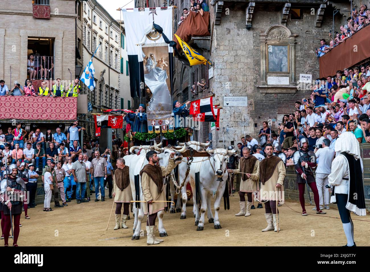 Les bœufs blancs et la bannière de soie du Palio (le Carroccio) arrivent sur la Piazza Del Campo dans le cadre de la procession historique, le Palio, Sienne, Italie. Banque D'Images