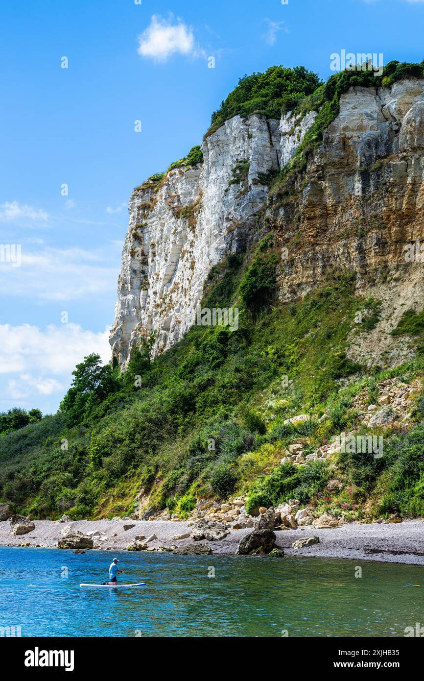 White Cliff, Jurassic Coast, Seaton, Devon, Angleterre Banque D'Images