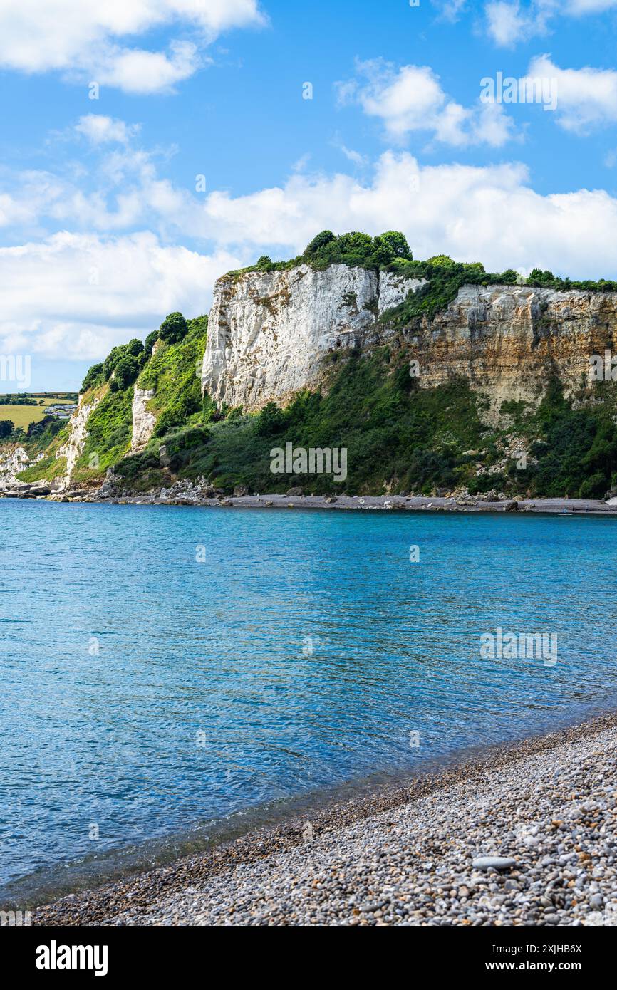 White Cliff, Jurassic Coast, Seaton, Devon, Angleterre Banque D'Images