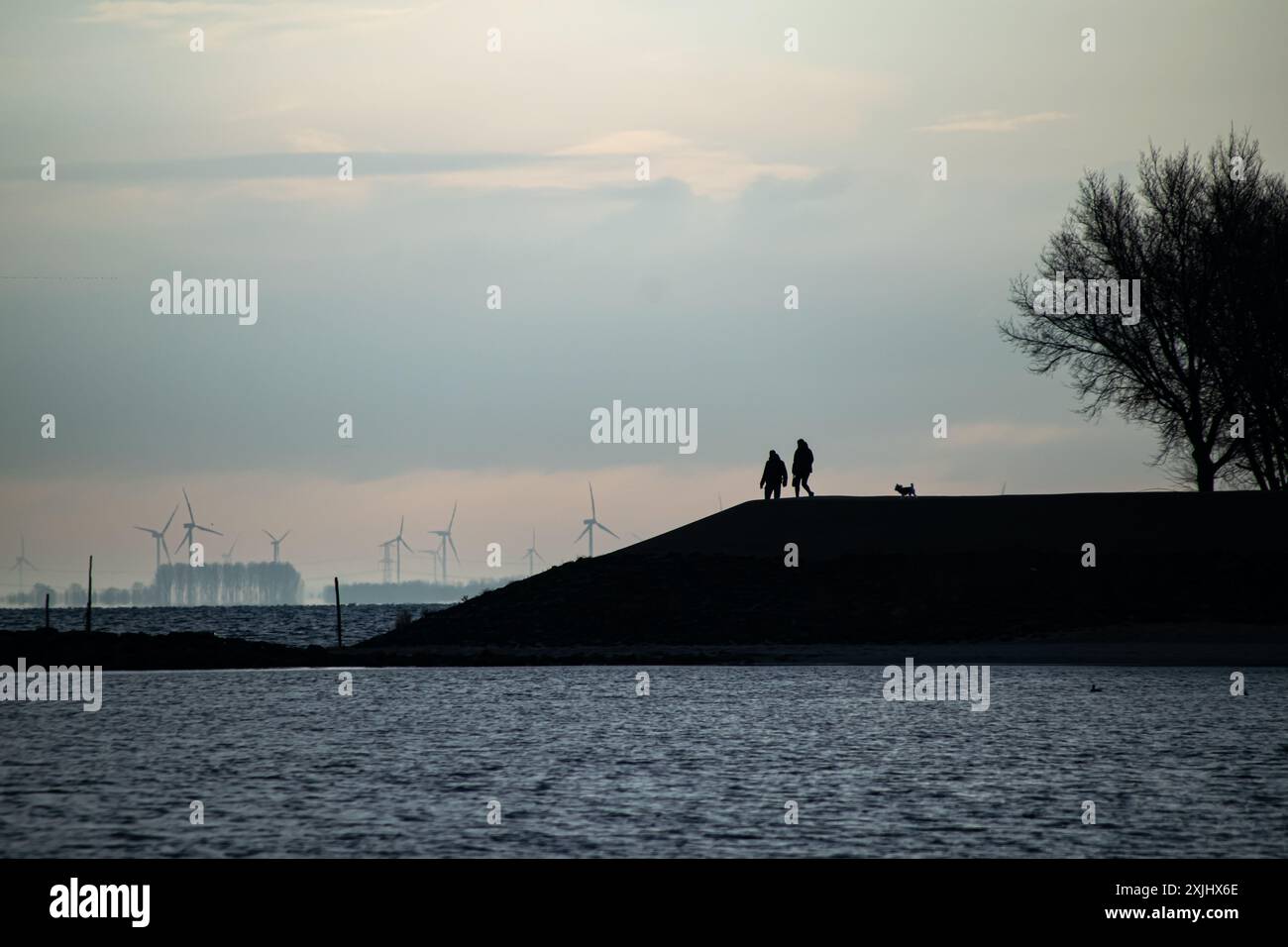 La photo capture une scène de soirée sereine au bord de l'eau, avec les silhouettes de deux personnes marchant le long d'une colline. Un petit chien les accompagne, ajoutant Banque D'Images