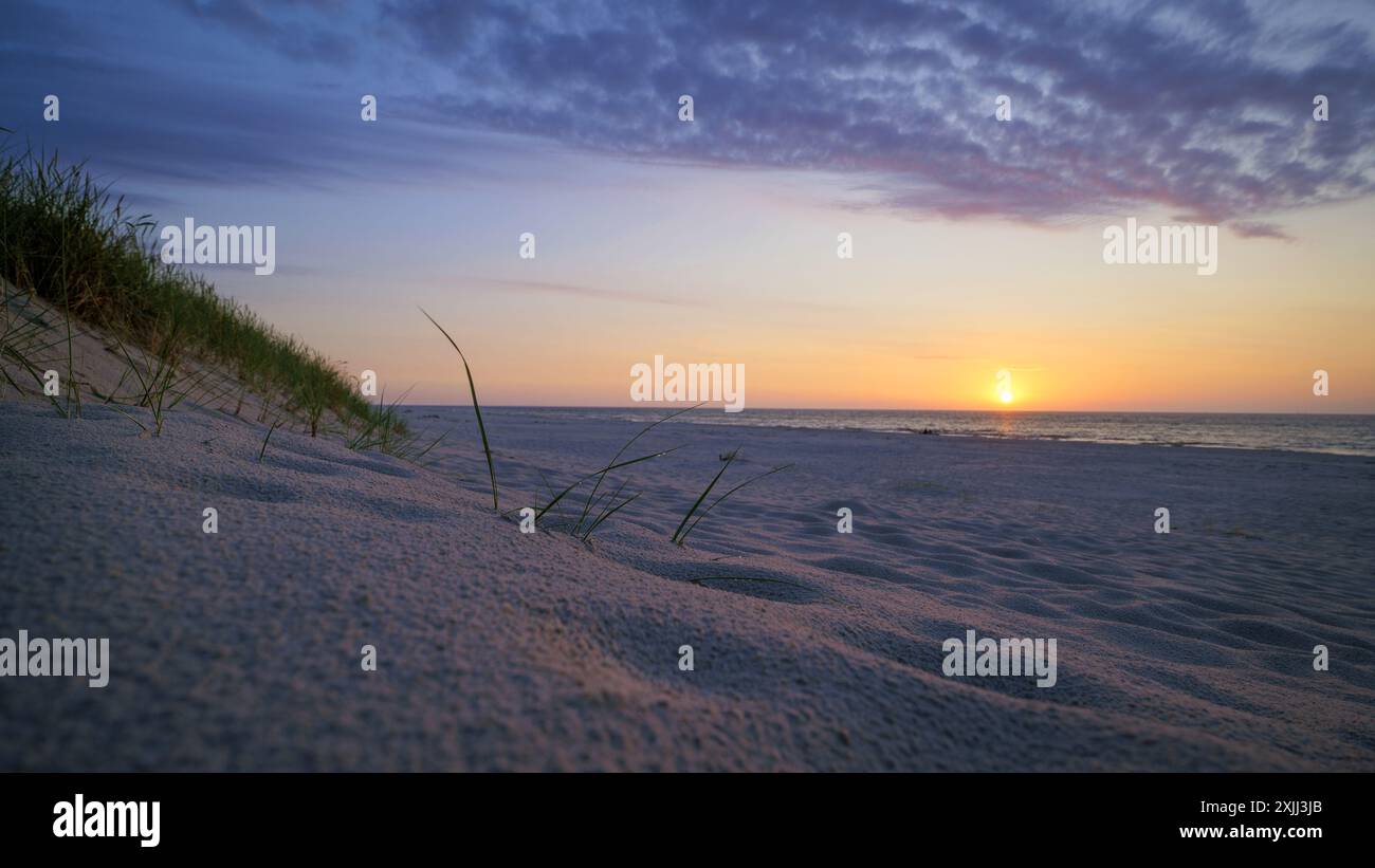 Gros plan de brins d'herbe avec des gouttelettes d'eau poussant d'une plage de sable entourée de dunes. Coucher de soleil en arrière-plan. Mer Baltique, Pologne Banque D'Images