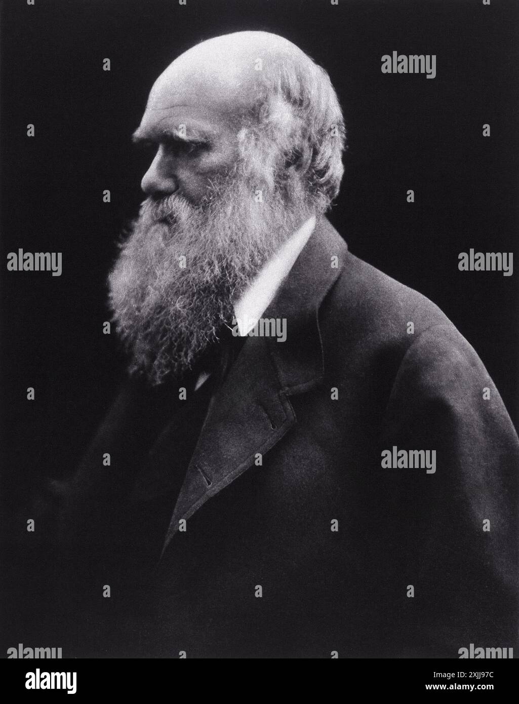 Portrait en noir et blanc de Charles Darwin, photographié par Julia Margaret Cameron en 1868. La photographie capture Darwin de profil, regardant vers la gauche, avec une longue barbe blanche et la tête chauve. Il porte un manteau foncé, et son expression est réfléchie et intense. Banque D'Images