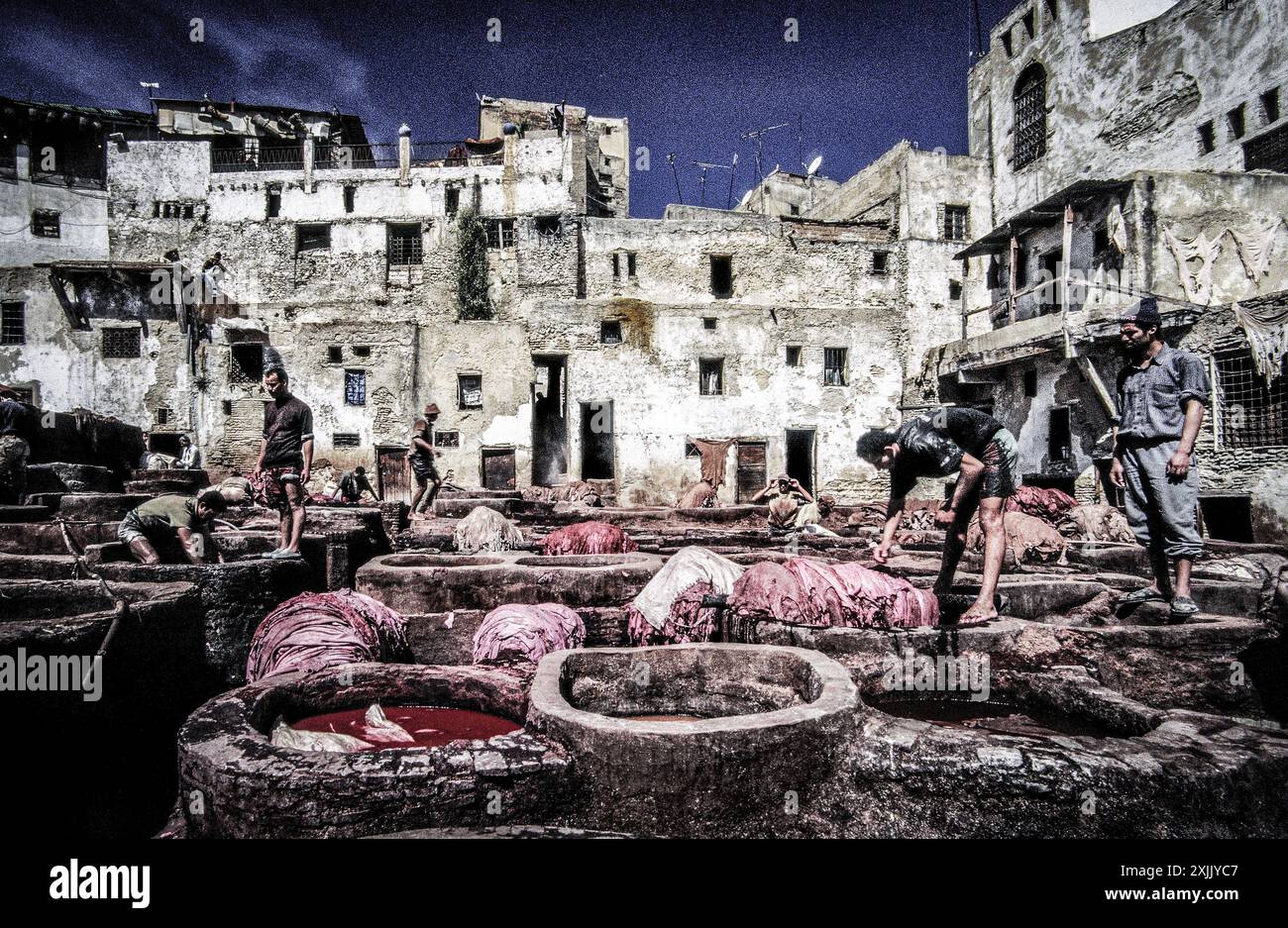 Tanneries (Souk Dabbaghin). Fes el Bali. Fez. Cité impériale. Maroc. Afrique. Banque D'Images