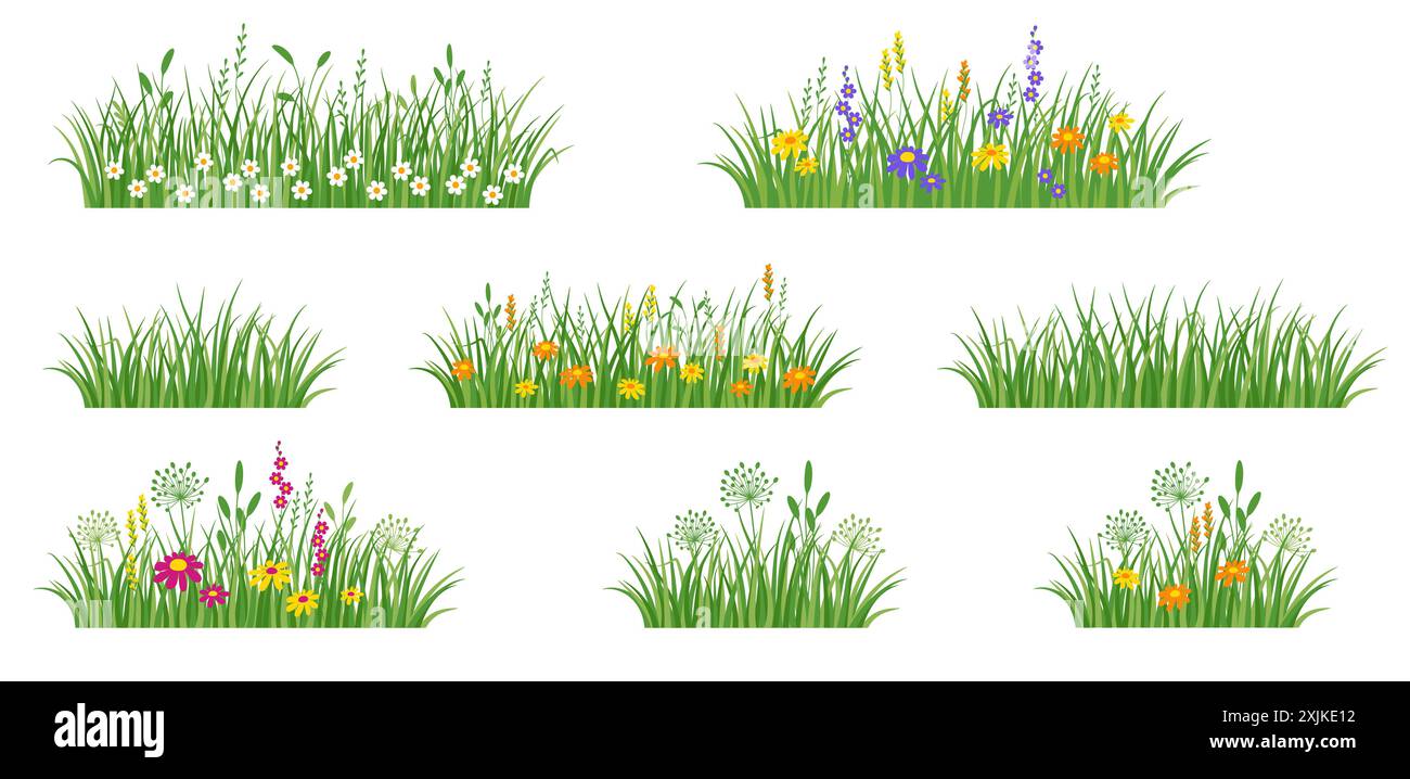 Fleurs et bordure d'herbe, fleurs de prairie et herbe verte, illustration vectorielle, élément de décoration de carte Illustration de Vecteur