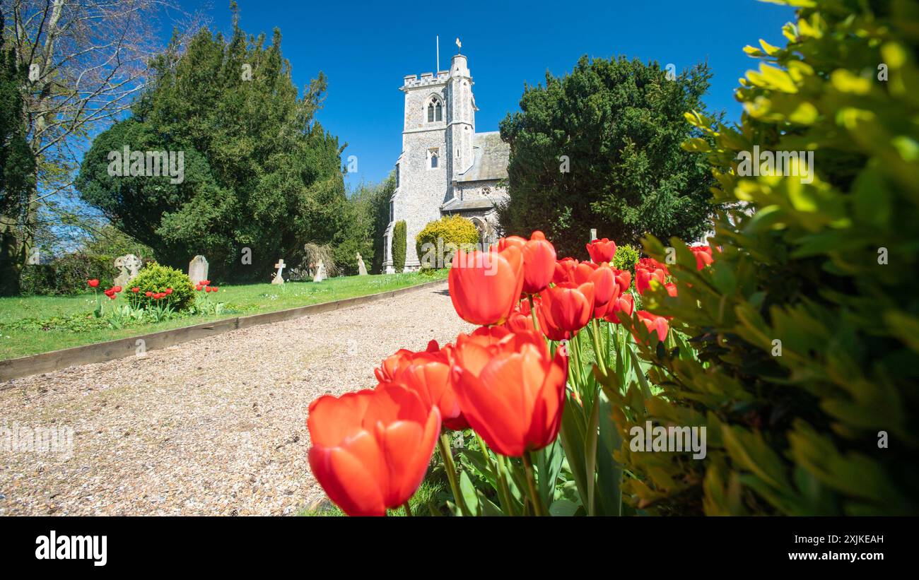 Église Sainte-Marie avec tulipes, Arkesden, Essex au printemps ARKESDEN Essex UK Banque D'Images