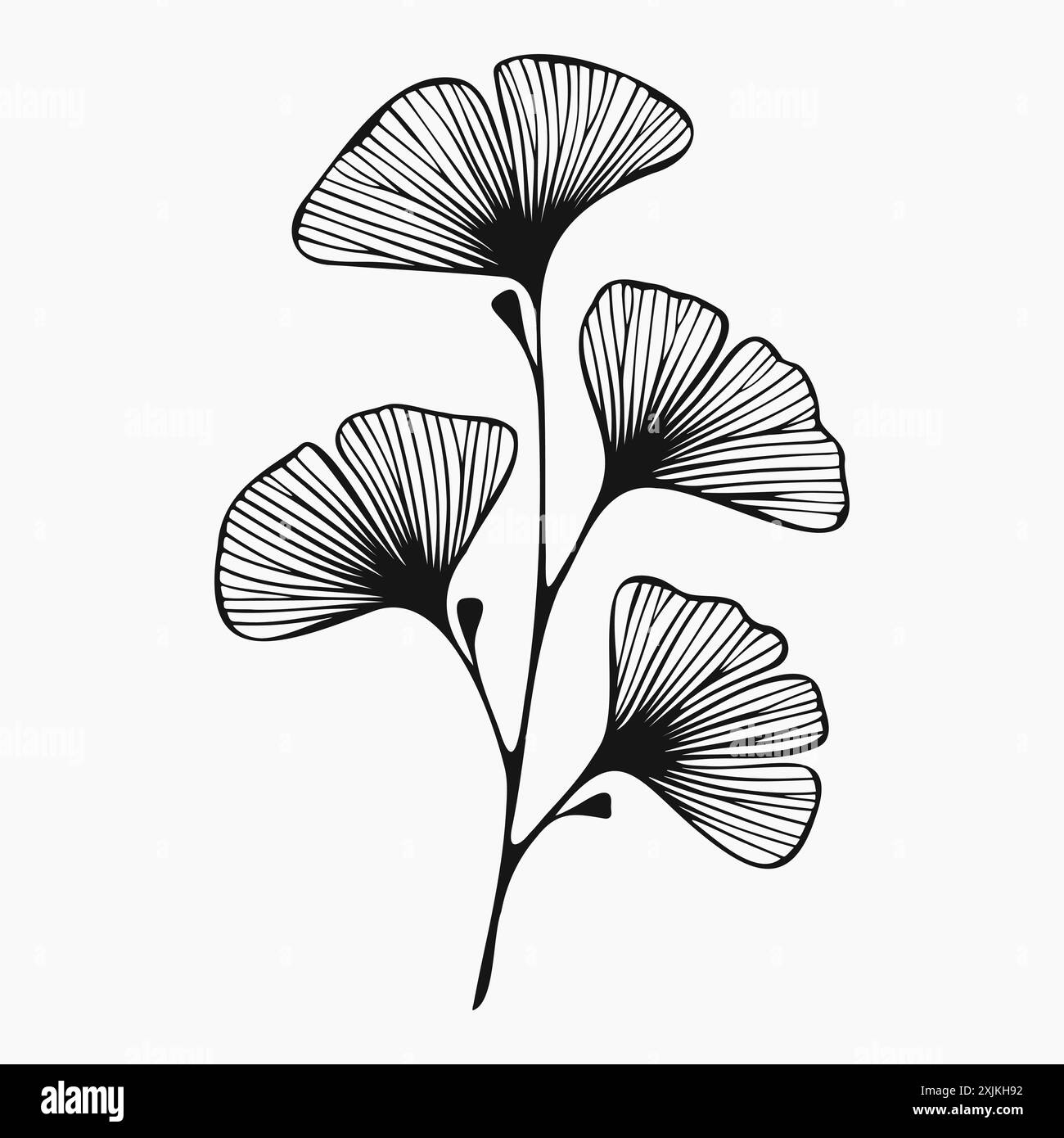 Branche de Ginkgo biloba, art au trait isolé sur fond blanc. Élément floral exotique dessiné à la main pour invitation, carte de voeux, affiche Illustration de Vecteur