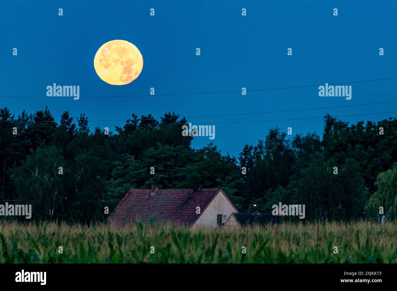 Un paysage rural serein avec une pleine lune se levant au-dessus d'une petite maison entourée d'arbres et de champs Banque D'Images