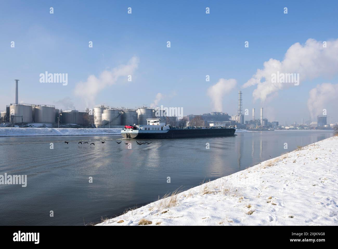 Site d'usine BASF sur le Rhin, entreprise chimique, cargo, ambiance brumeuse, neige, Ludwigshafen, Rhénanie-Palatinat, Allemagne Banque D'Images