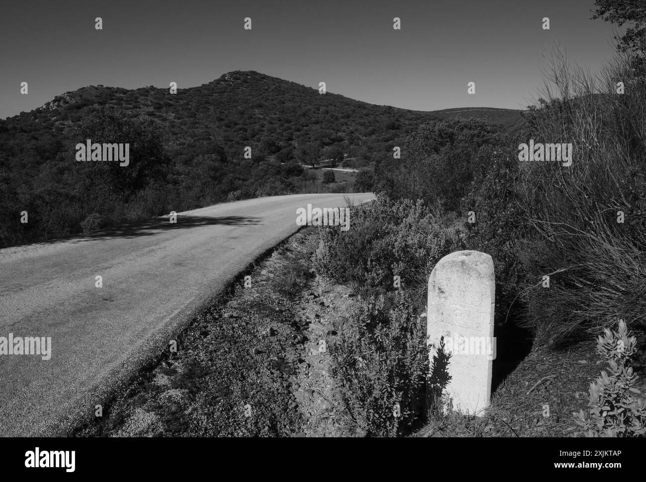Route de campagne étroite, en face d'une vieille pierre de route, province Ciudad Real, Castilla- la Mancha, Espagne Banque D'Images