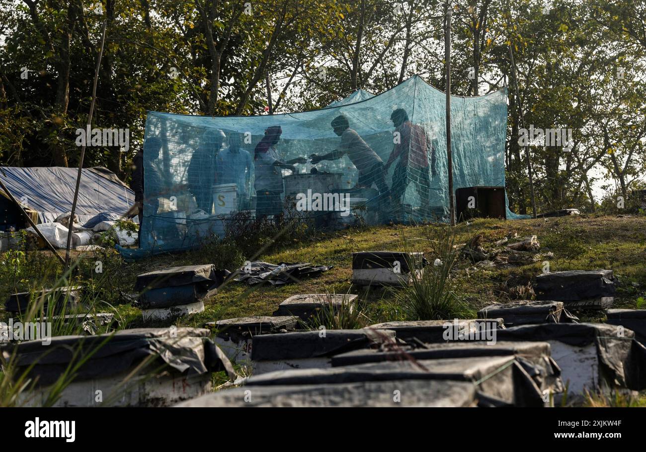 Des apiculteurs travaillant dans une ferme apicole près d’un champ de masturd dans un village du district de Barpeta, dans l’Assam, en Inde, le mercredi 22 décembre 2021. Le Banque D'Images