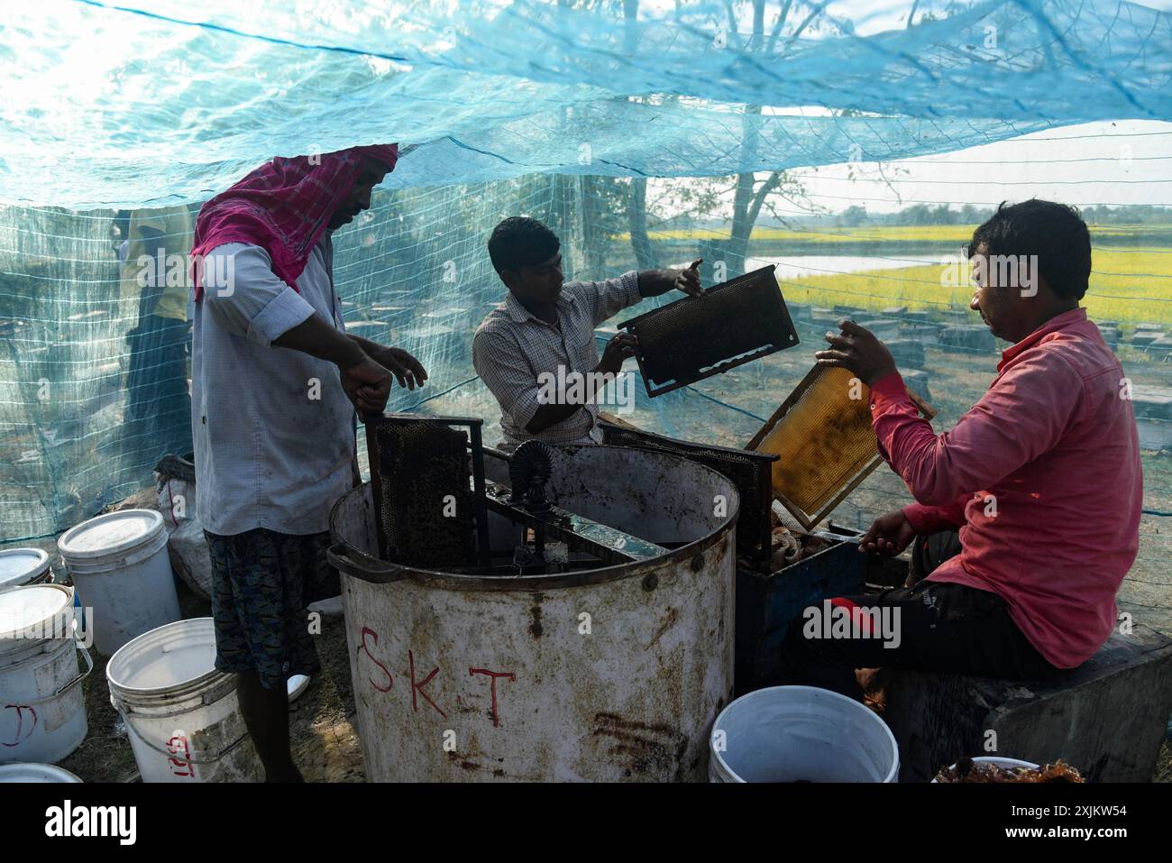 Des apiculteurs travaillant dans une ferme apicole près d’un champ de masturd dans un village du district de Barpeta, dans l’Assam, en Inde, le mercredi 22 décembre 2021. Le Banque D'Images