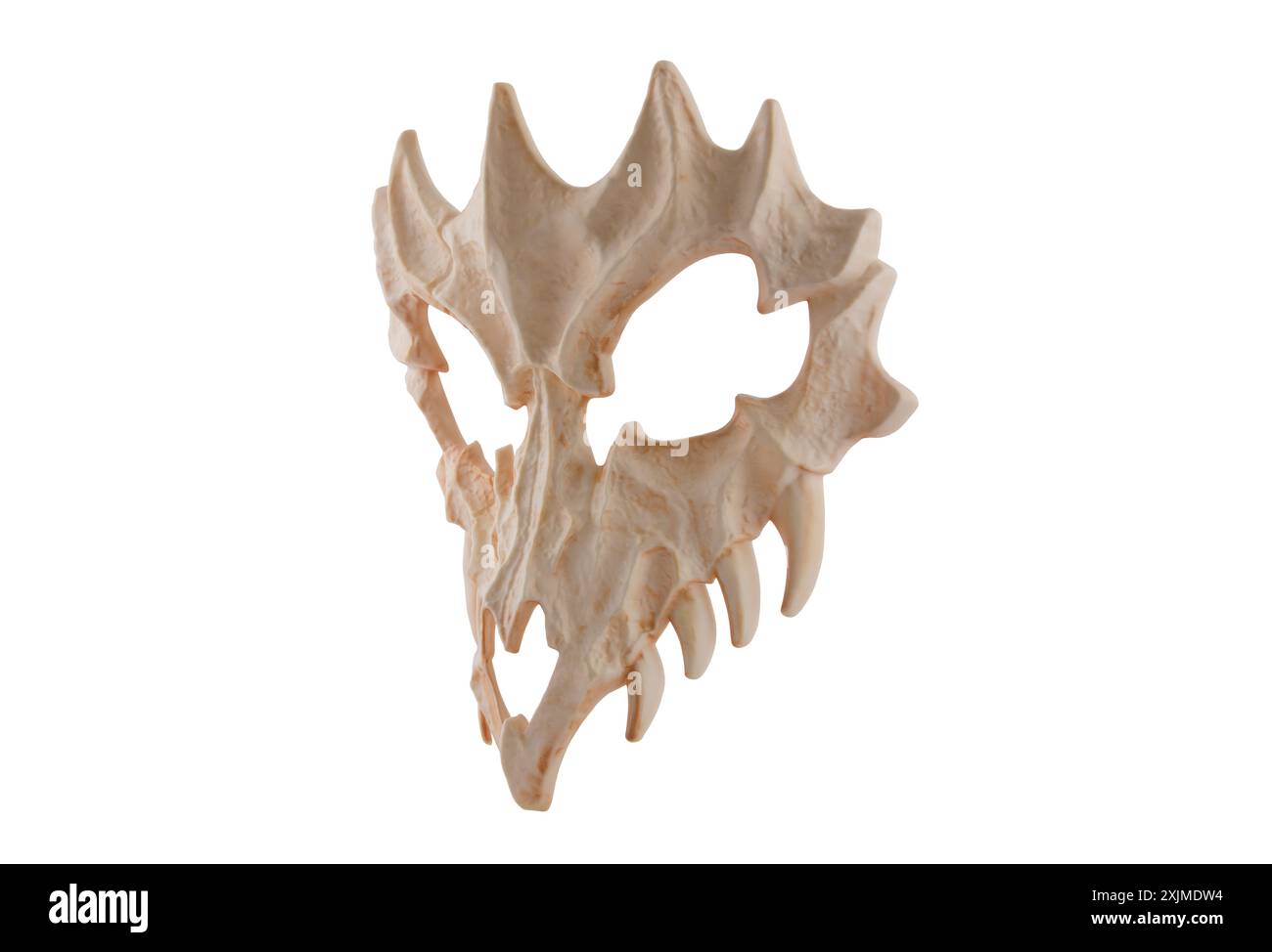 Crâne de dragon isolé sur fond blanc avec chemin de détourage Banque D'Images