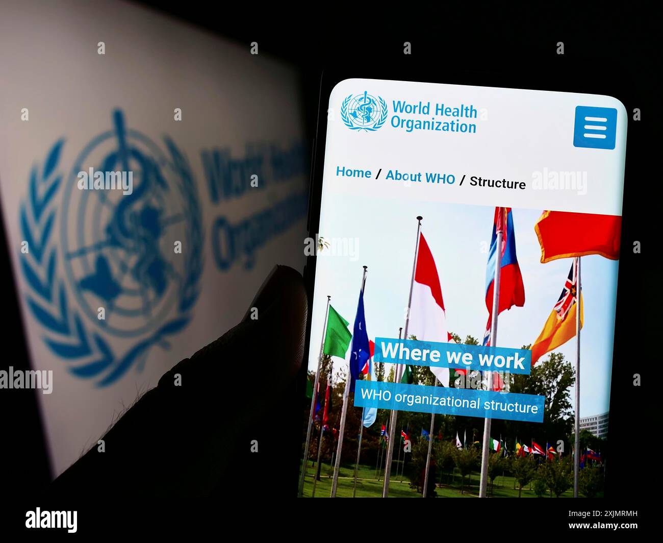 Stuttgart, Allemagne, 10-09-2022 : personne tenant un téléphone portable avec le site Web de l'Organisation mondiale de la santé (OMS) de l'ONU sur l'écran devant le logo. Mise au point Banque D'Images