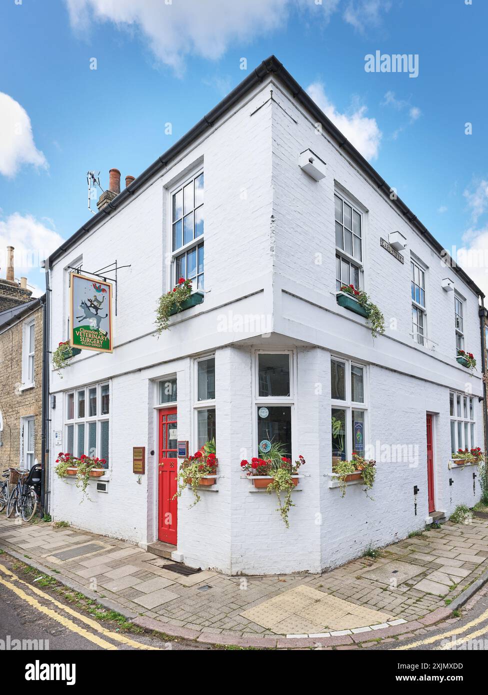 Clarendon Street Veterinary Surgery, Cambridge, Angleterre. Banque D'Images