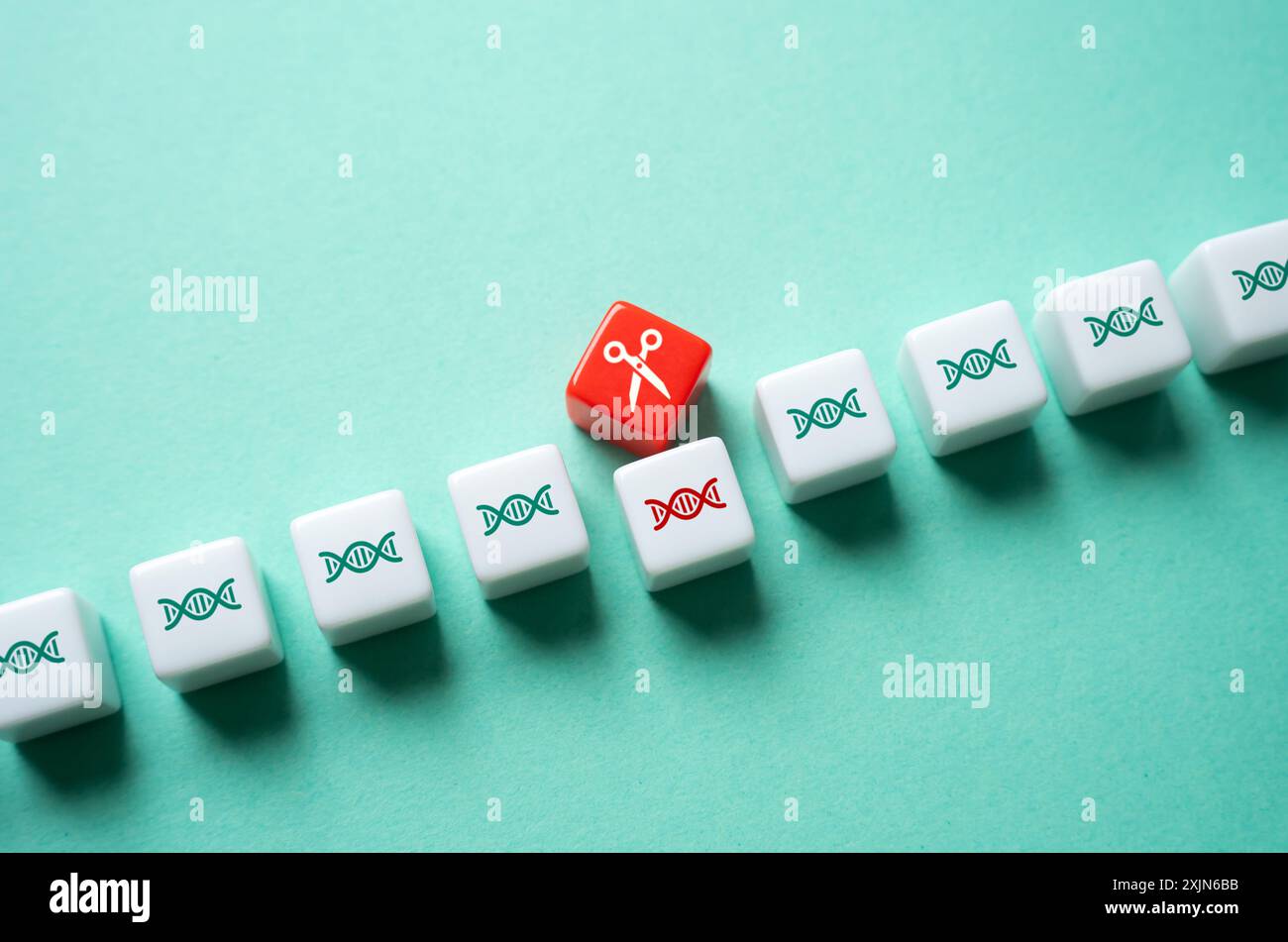 Des ciseaux découpent une section d'ADN. Concept d'édition du génome. Méthode innovante de traitement des maladies héréditaires. Création d'organis génétiquement modifiés Banque D'Images