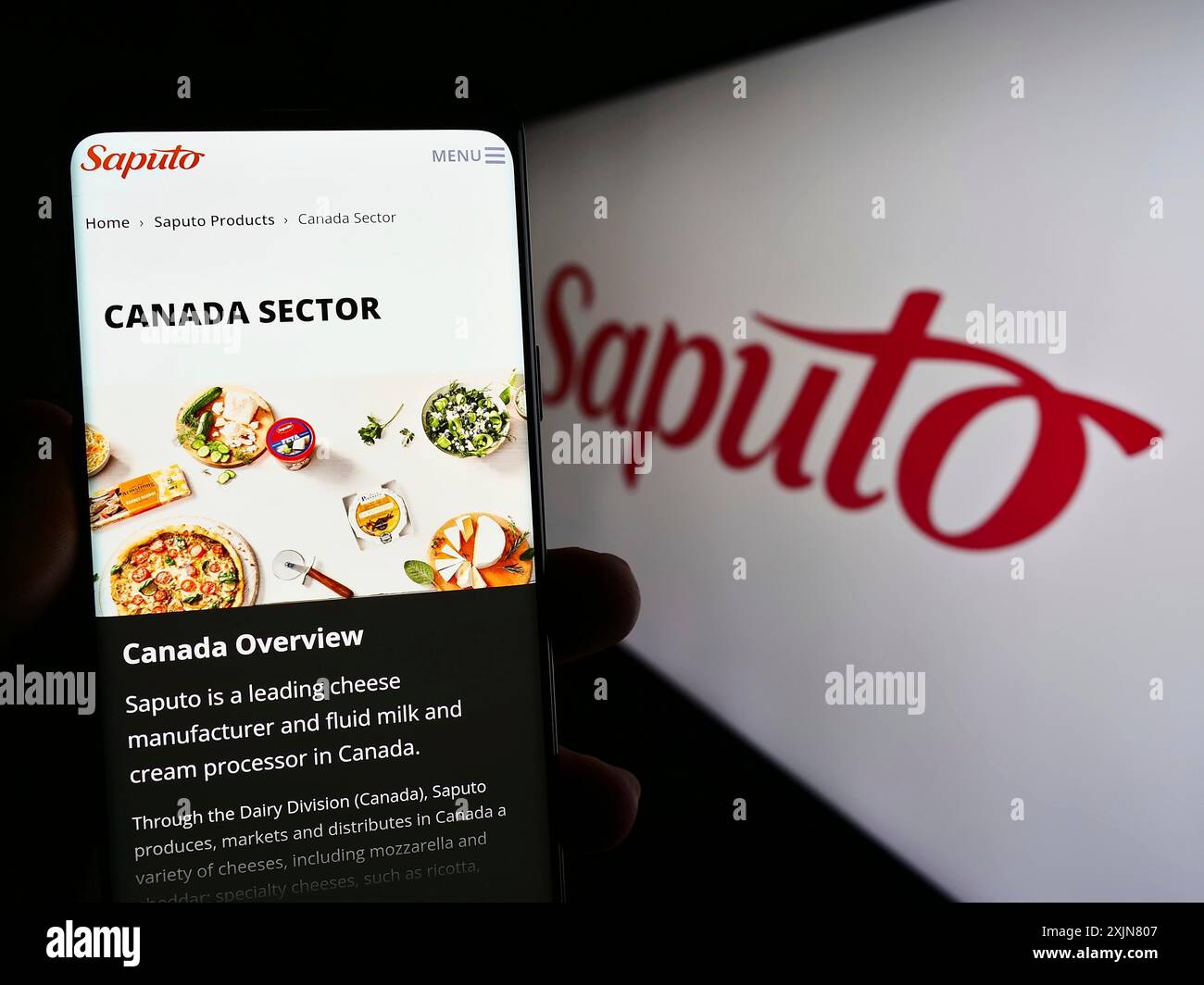 Stuttgart, Allemagne, 06-18-2023 : personne tenant un téléphone cellulaire avec le site Web de la société laitière canadienne Saputo Inc sur l'écran devant le logo. Concentrez-vous sur Banque D'Images