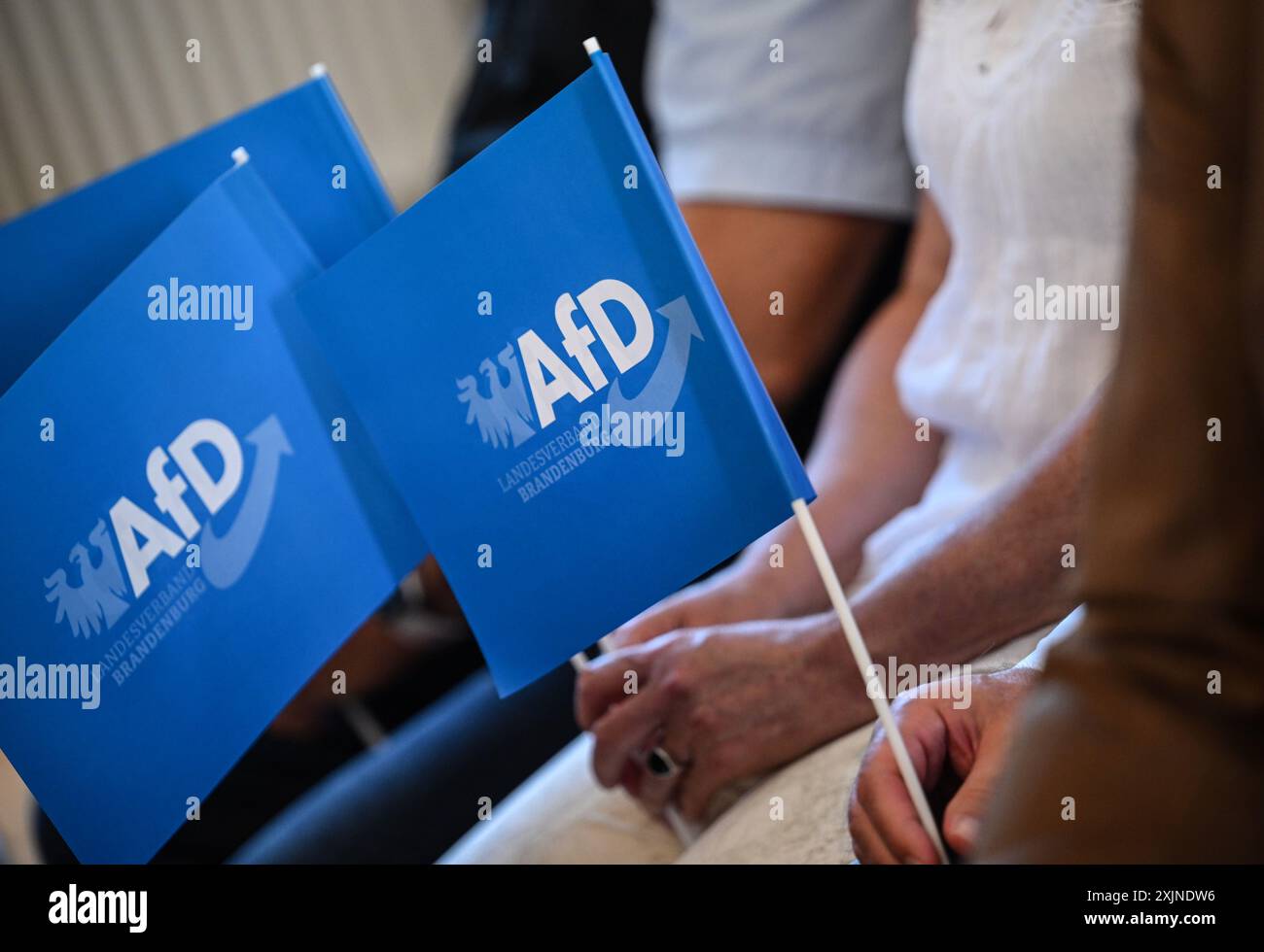 19 juillet 2024, Brandebourg, Werder (Havel) : les participants brandissent des drapeaux lors de l'événement de lancement de l'AFD pour les élections d'État dans le Brandebourg. Photo : Britta Pedersen/dpa Banque D'Images