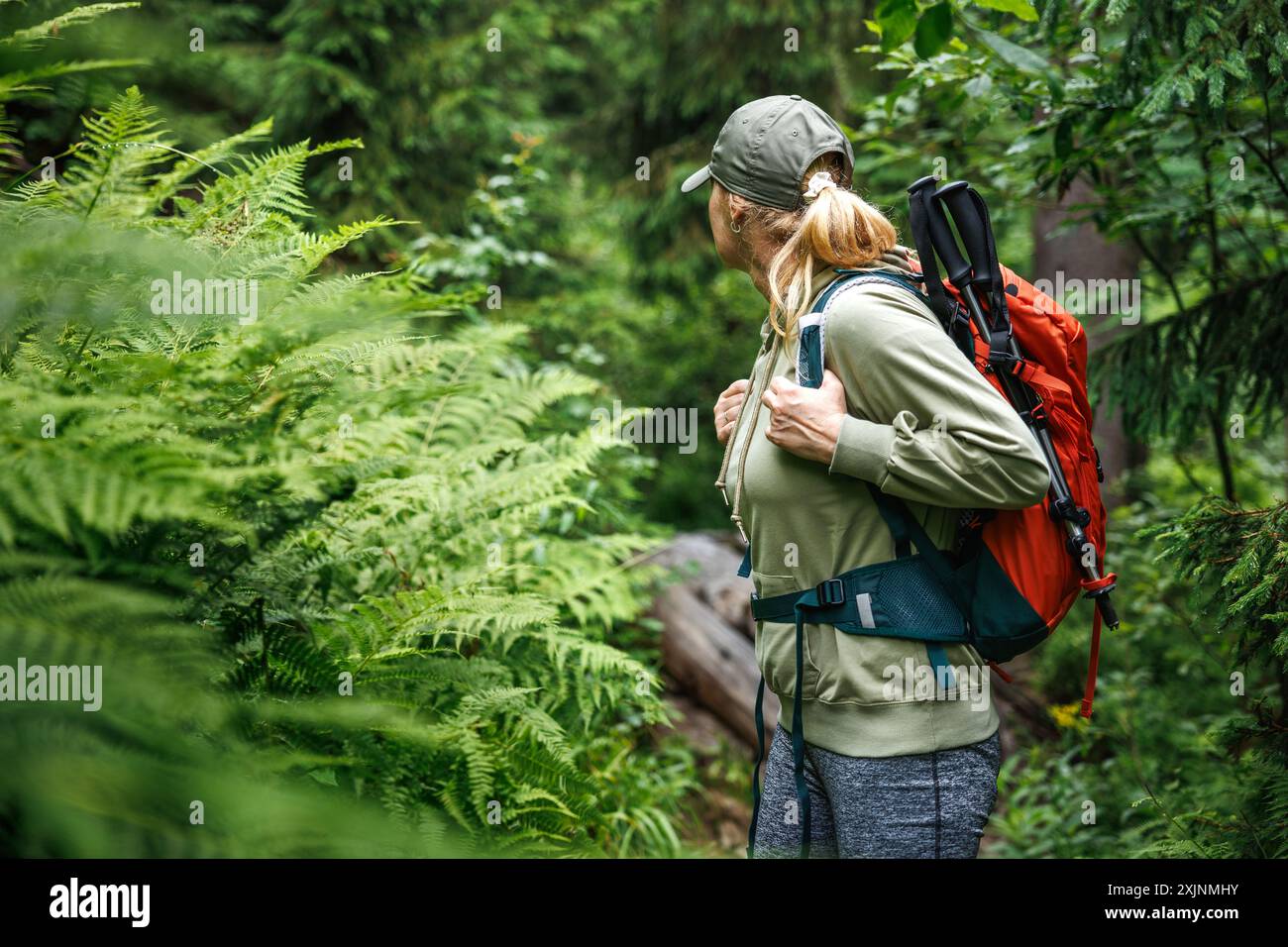 Femme randonneur regarde par-dessus l'épaule dans la forêt. Randonnée en pleine nature. Aventure dans la nature Banque D'Images