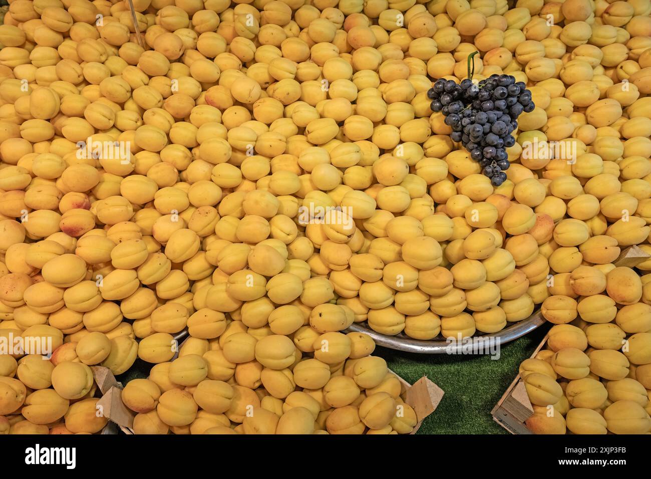 Abricots sur le marché étal et un bouquet de raisins dessus. Banque D'Images