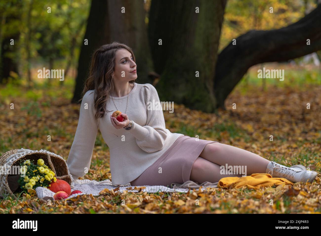 Portrait d'une belle fille souriante avec les cheveux foncés et de grands yeux. Promenade d'automne dans le parc. Une fille est assise, à côté d'un panier avec des pommes, des citrouilles, des fleurs Banque D'Images