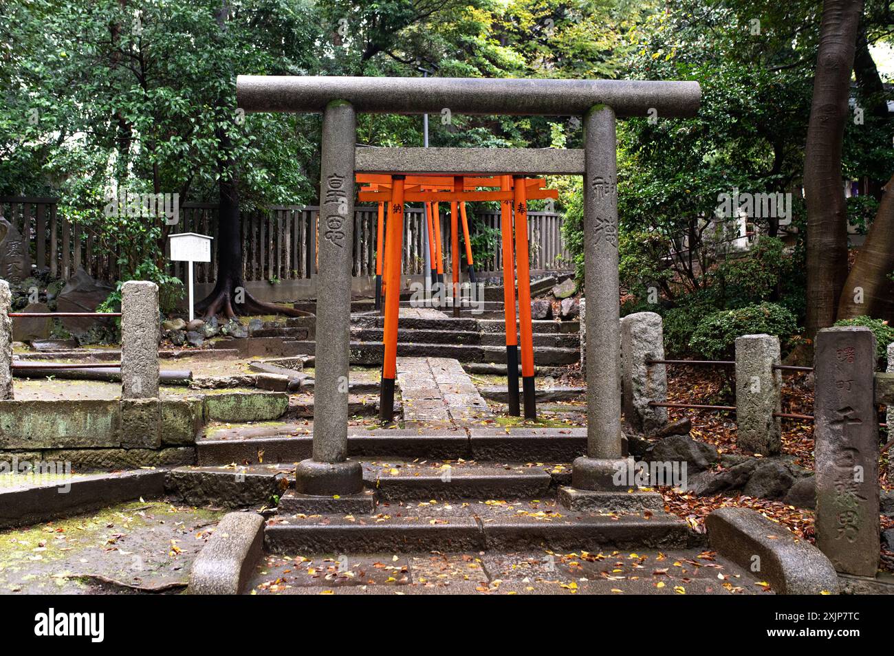 Une vue sereine sur la pierre traditionnelle et les portes torii orange vibrantes menant à travers un sentier dans un sanctuaire japonais, entouré de verdure luxuriante et anci Banque D'Images
