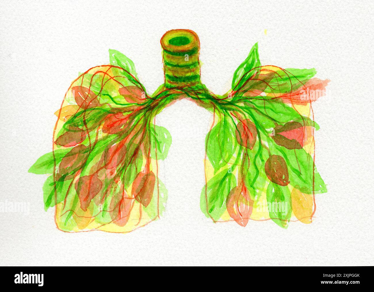 Illustration conceptuelle de poumons à thème botanique, symbolisant la santé respiratoire et le lien entre nature, air pur et maladies pulmonaires. Banque D'Images