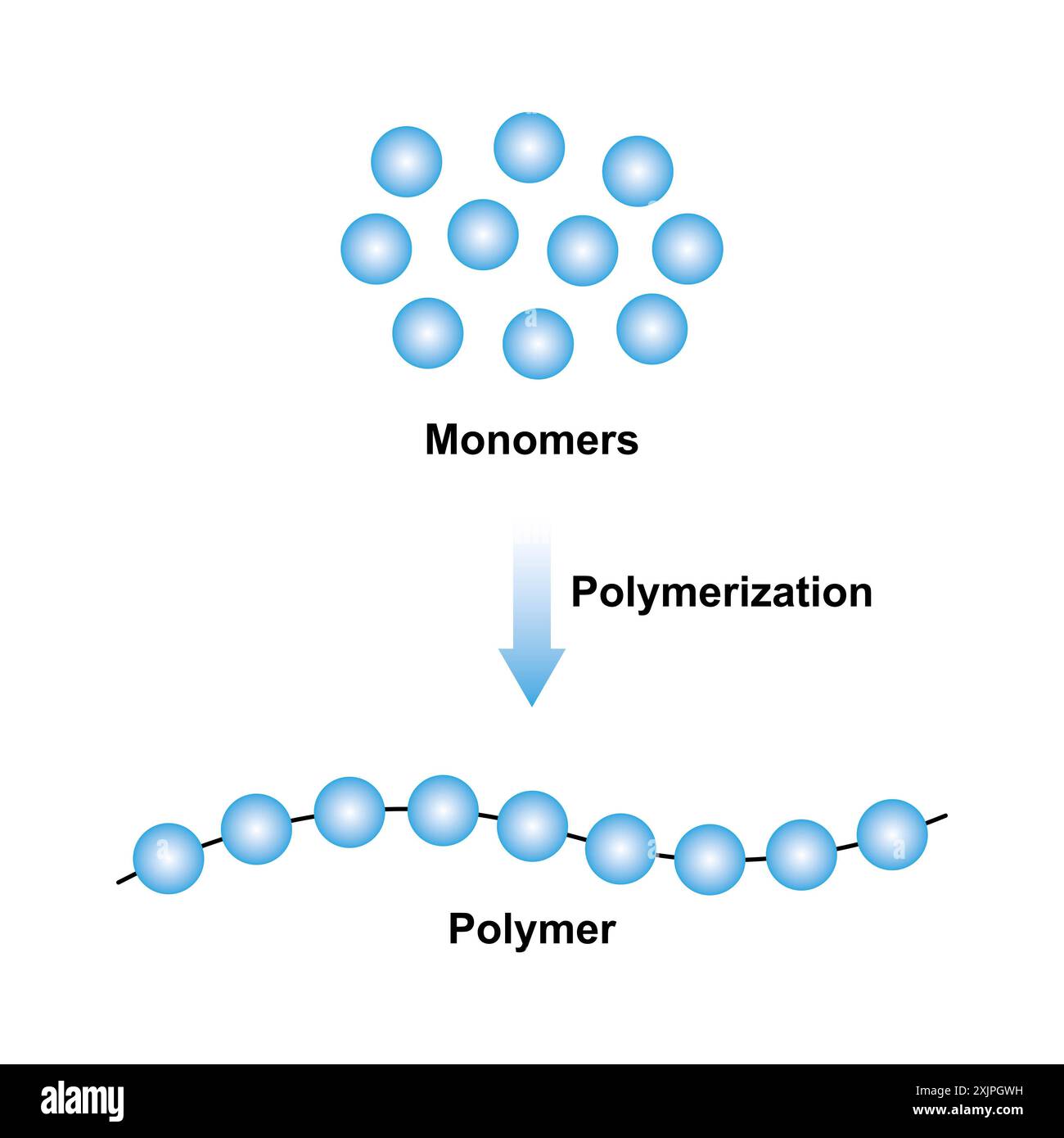 Polymerisation Animation Ejemplo de ilustración Banque de photographies et d’images à haute ...