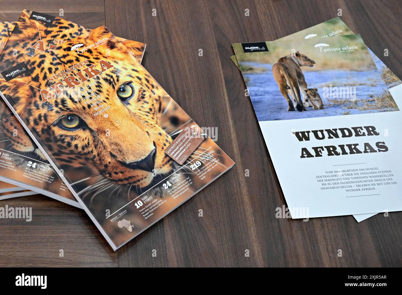 Brochures de voyage Safari Afrique du Sud Banque D'Images