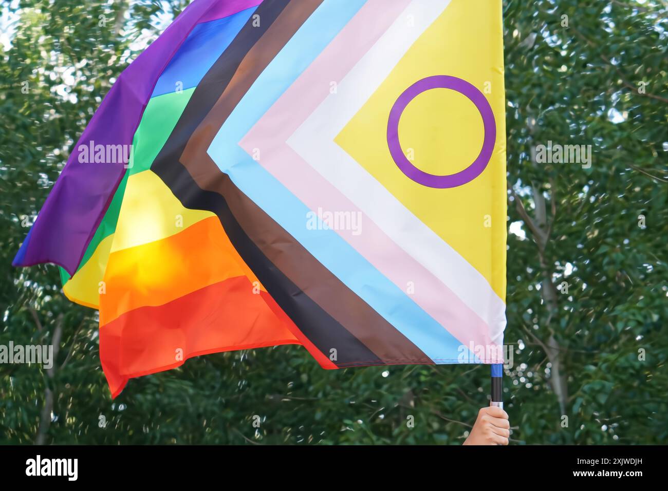 Drapeau LGTBIQ+ agité dans le vent avec des arbres en arrière-plan Banque D'Images