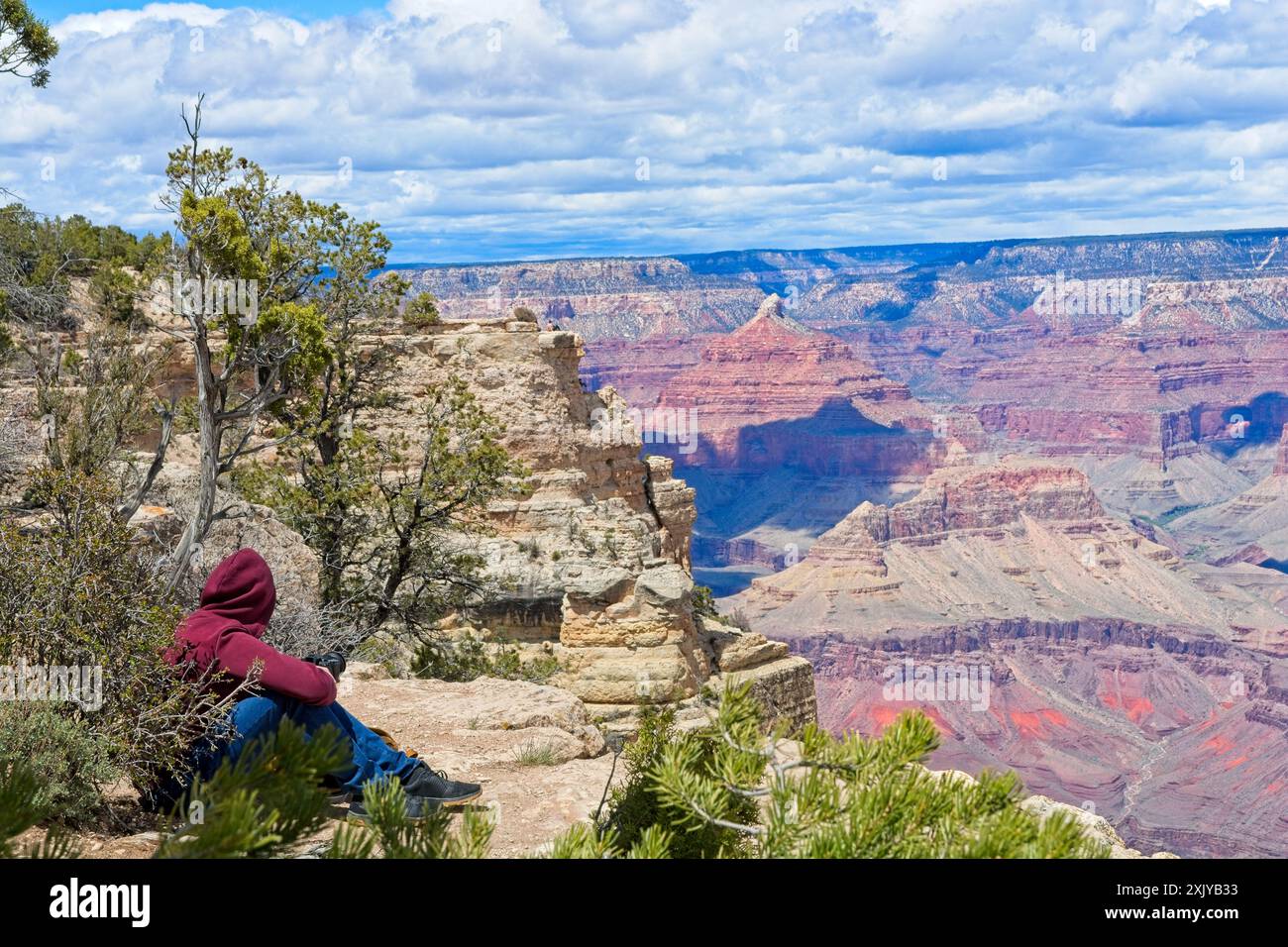 Touriste appréciant la vue impressionnante sur la rive sud du Grand Canyon sous un ciel printanier sombre Banque D'Images