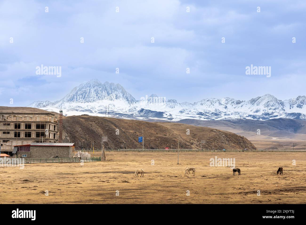 Le mont Yala est l'une des quatre montagnes saintes de la préfecture autonome tibétaine de Garze, en Chine. Cette vue est du côté ouest de la prairie de Tagong. Banque D'Images