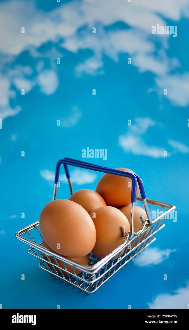 Œufs de poule crus frais dans un panier miniature de supermarché, concept d'achat en ligne pour épicerie ou magasin d'alimentation et sélection de produits, bleu pastel Banque D'Images