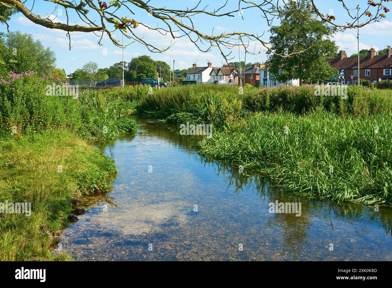 La rivière Bulbourne à Hemel Hempstead, Hertfordshire, Royaume-Uni, en été Banque D'Images