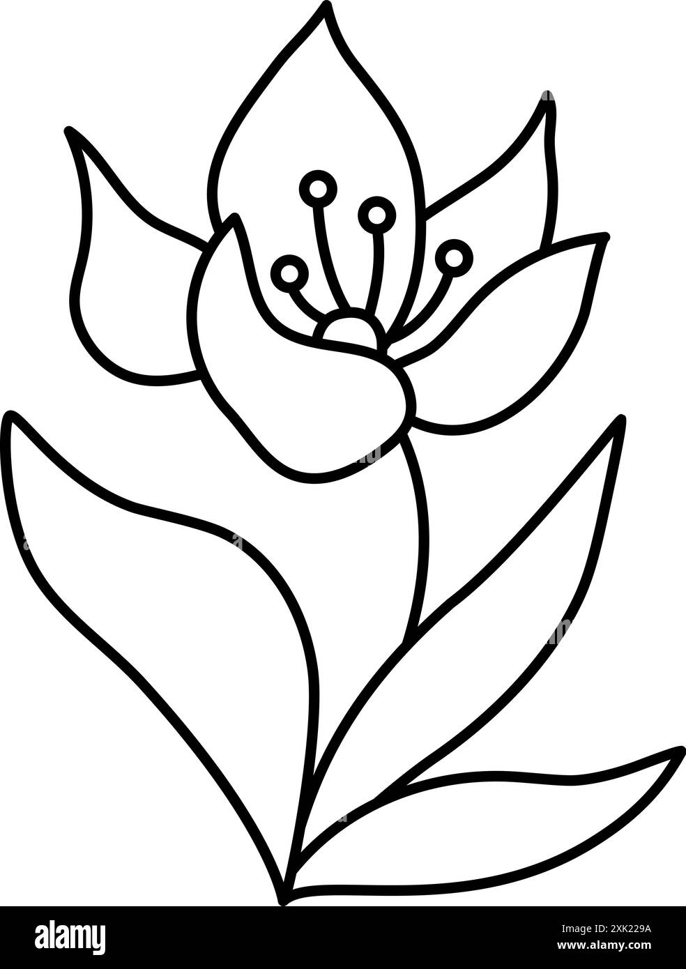 Icône de lys noir et blanc de vecteur. Belle illustration de ligne de fleur de jardin ou marine ou coloriage isolé sur fond blanc. Princesse ou merma Illustration de Vecteur